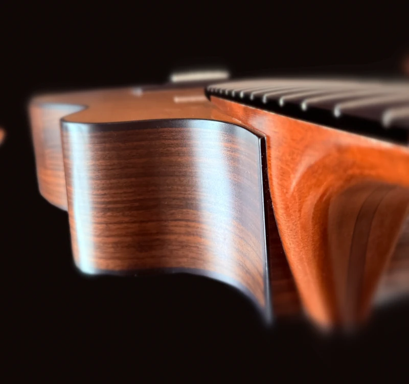 Cozad Guitars - Dauphin Elevated Fretboard