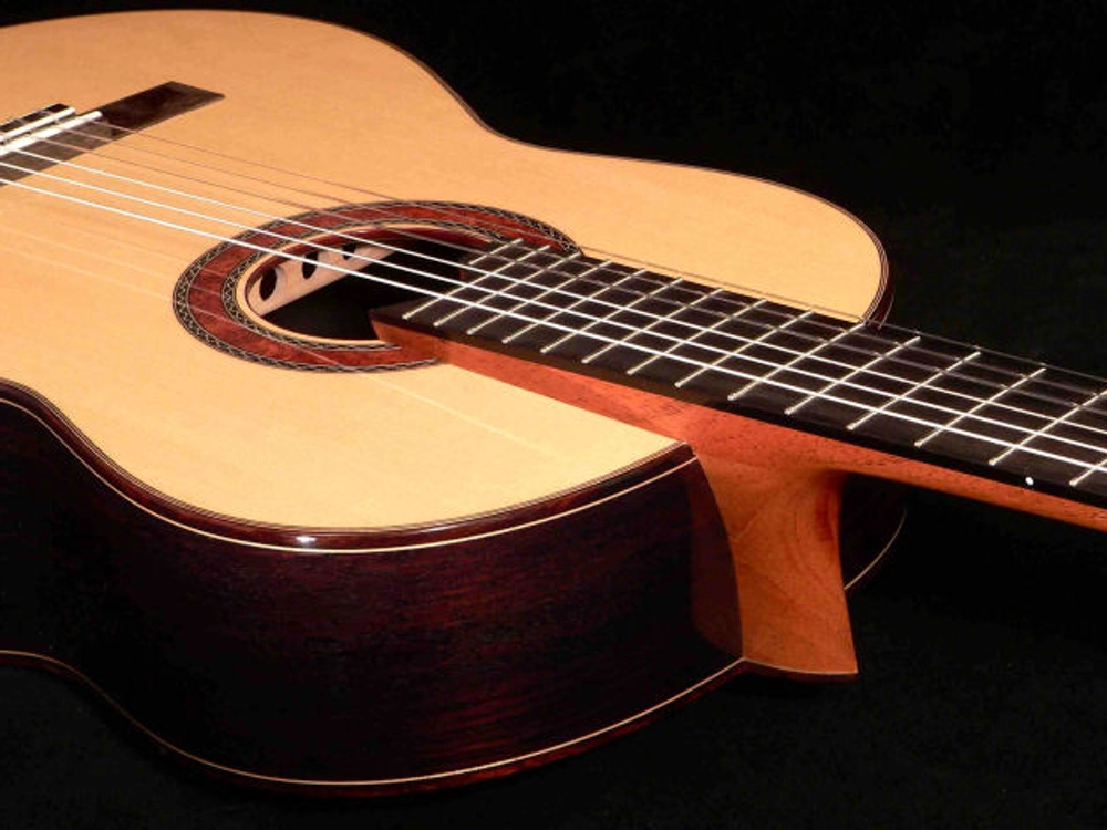 Cozad Guitars - Elevated Fretboard