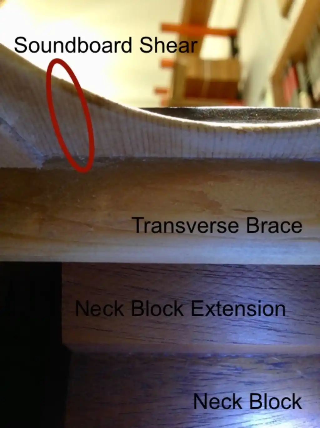 Guild F-212 Neck Block