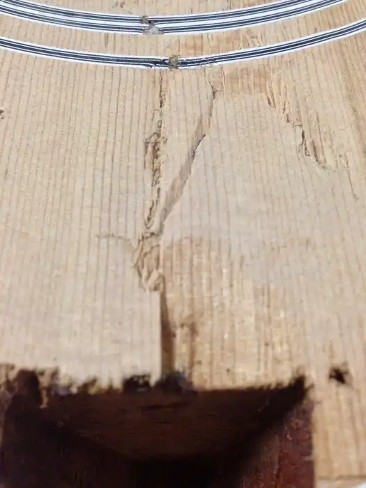 Cozad Guitars - Tearout