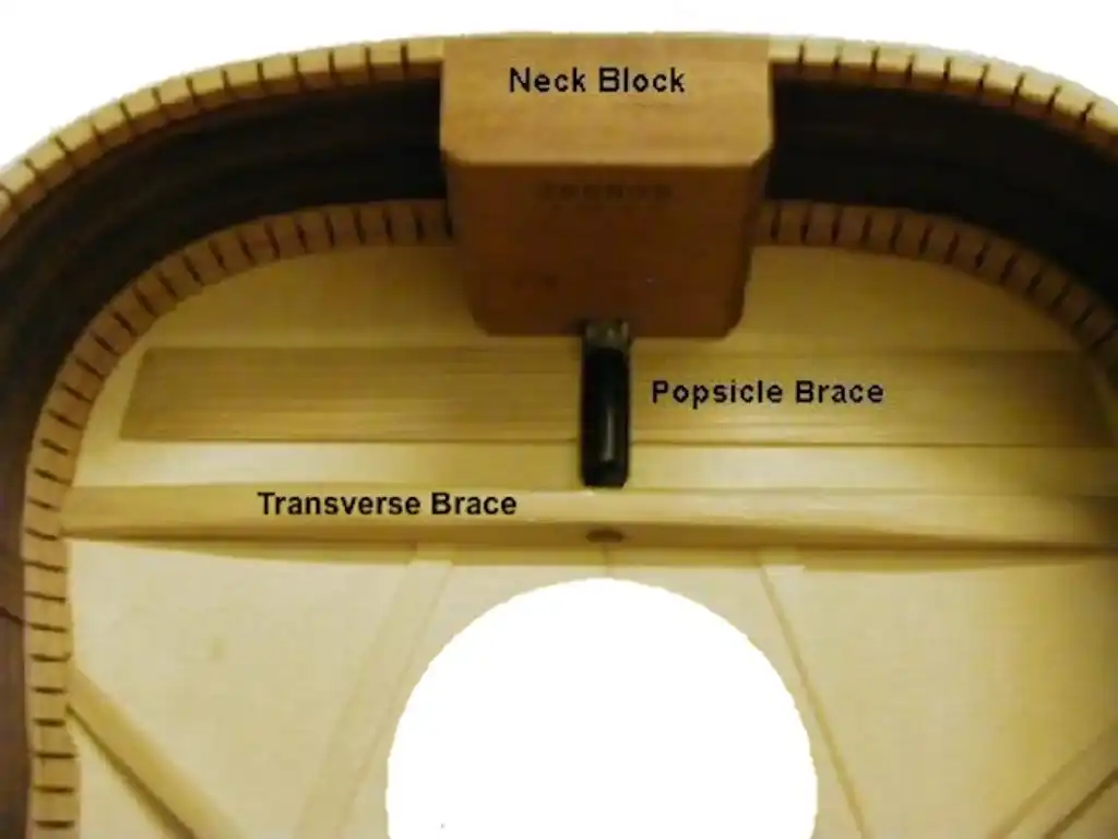 Popsickle Brace