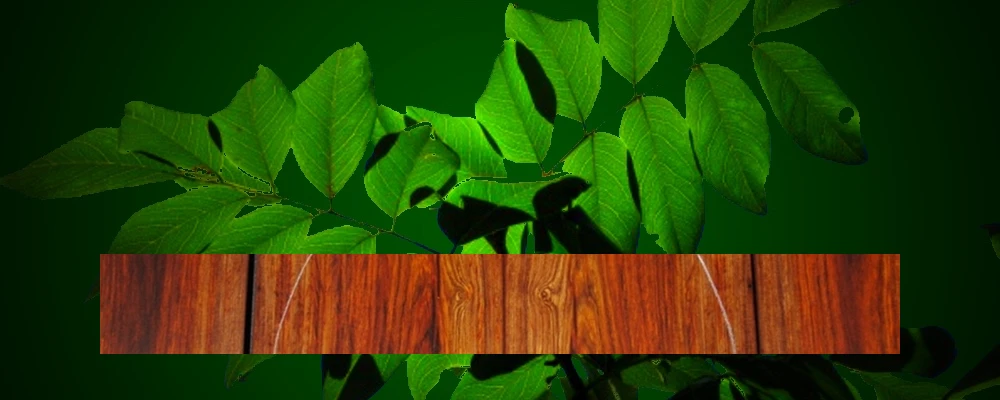 Tonewoods - Cocobolo