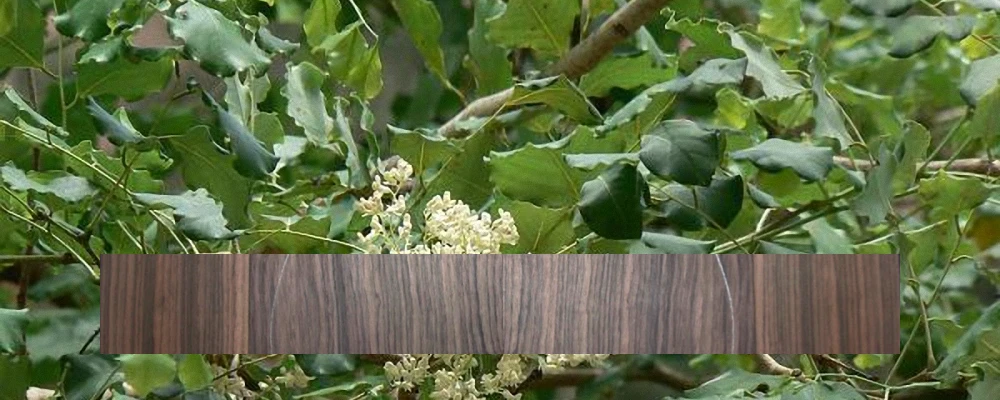 Tonewoods - East Indian Rosewood