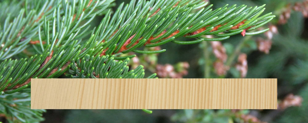 Tonewoods - Red (Adirondack) Spruce