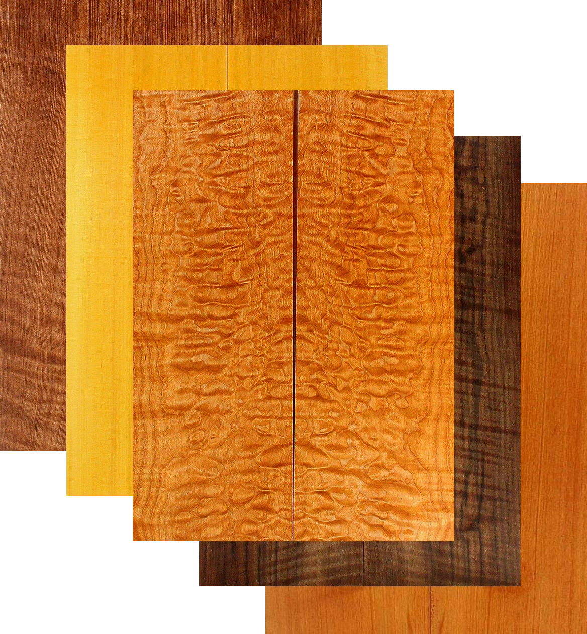 Cozad Guitars - Tonewood Samples