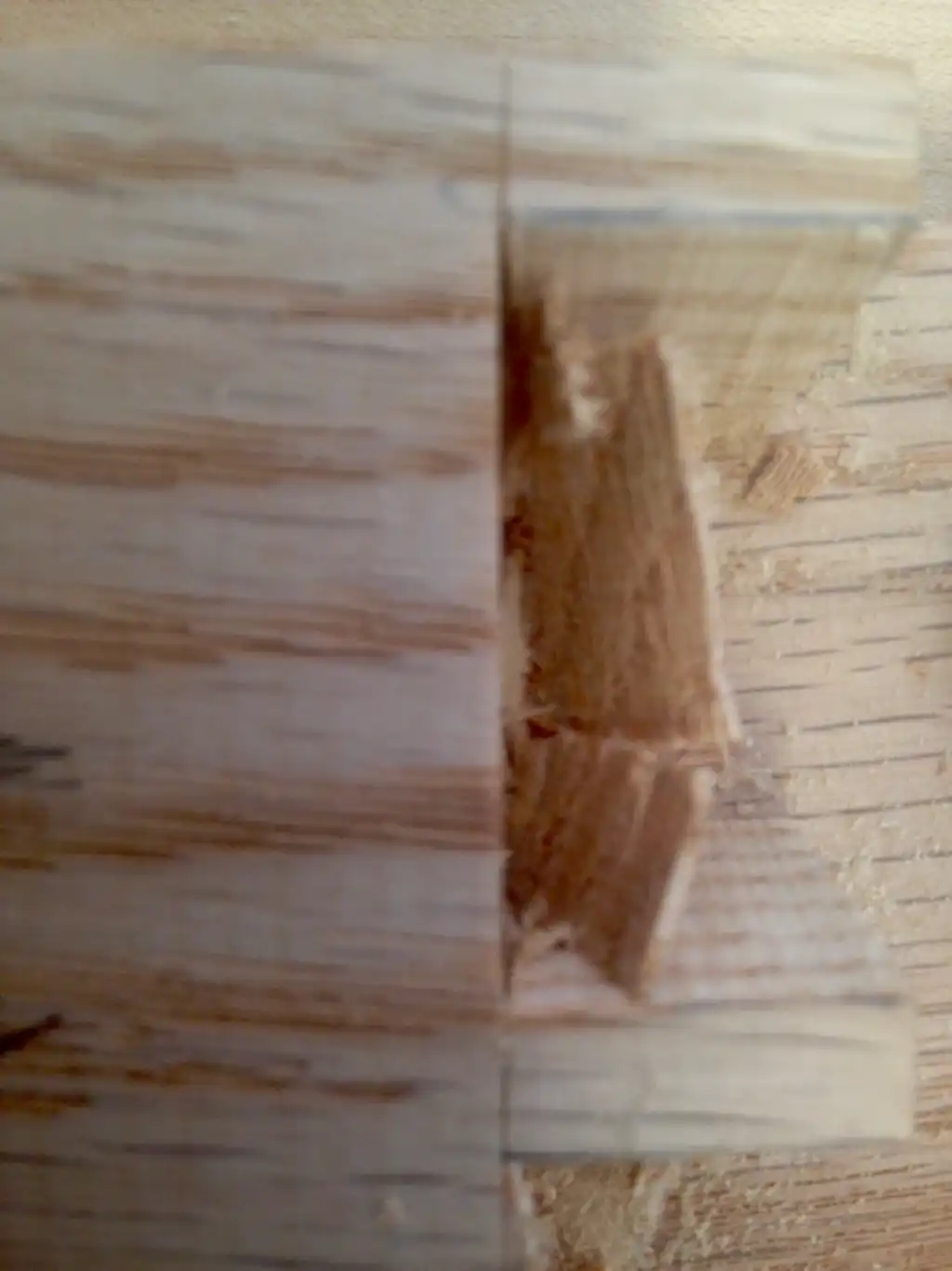 Cozad Guitars - Chiseled Waste Close-up