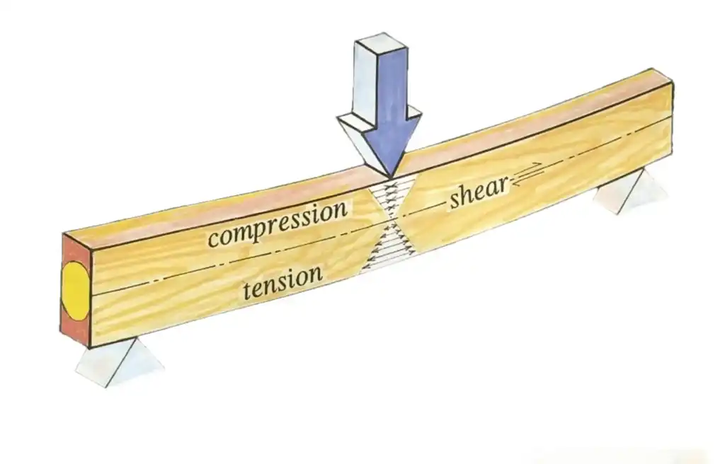Wooden Beam Buckling illustration